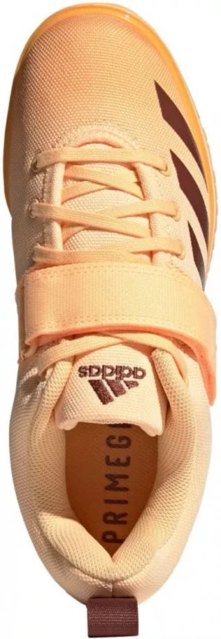 Zapatillas Adidas Powerlift 4 Eightlifting.
