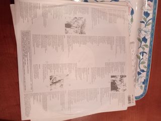 VINILE FOTOGRAFIA DI UN MOMENTO