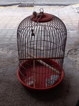 Pajarera