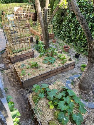 Panchine, fioriere, compostiere...