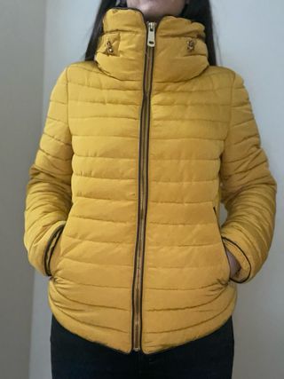 Plumas Zara