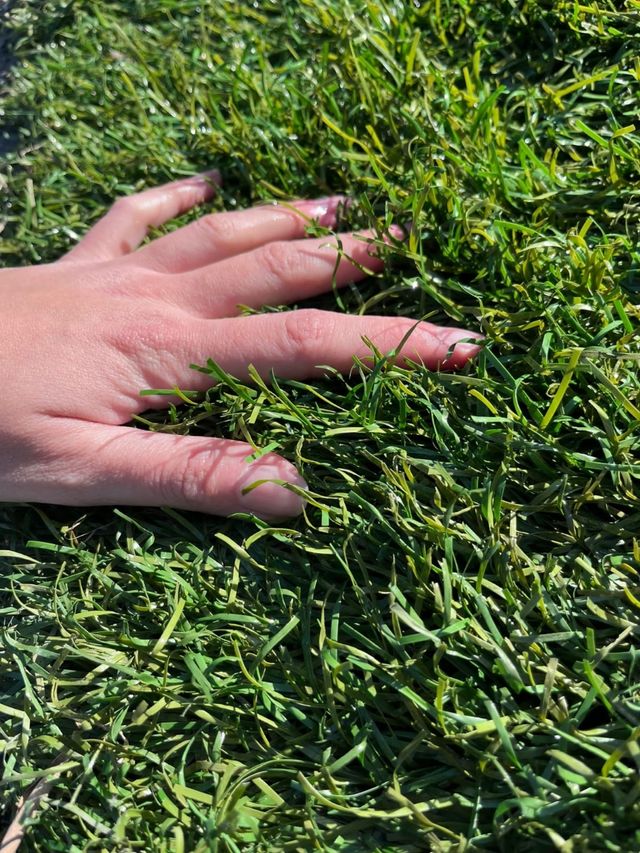 Césped Artificial Reciclado 🌿