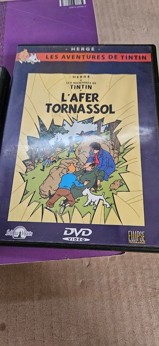 DVD Tintin