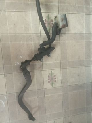 Freno trasero completo Honda Dominator 