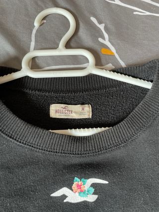 Sudadera hollister