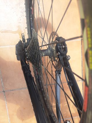 mtb scott