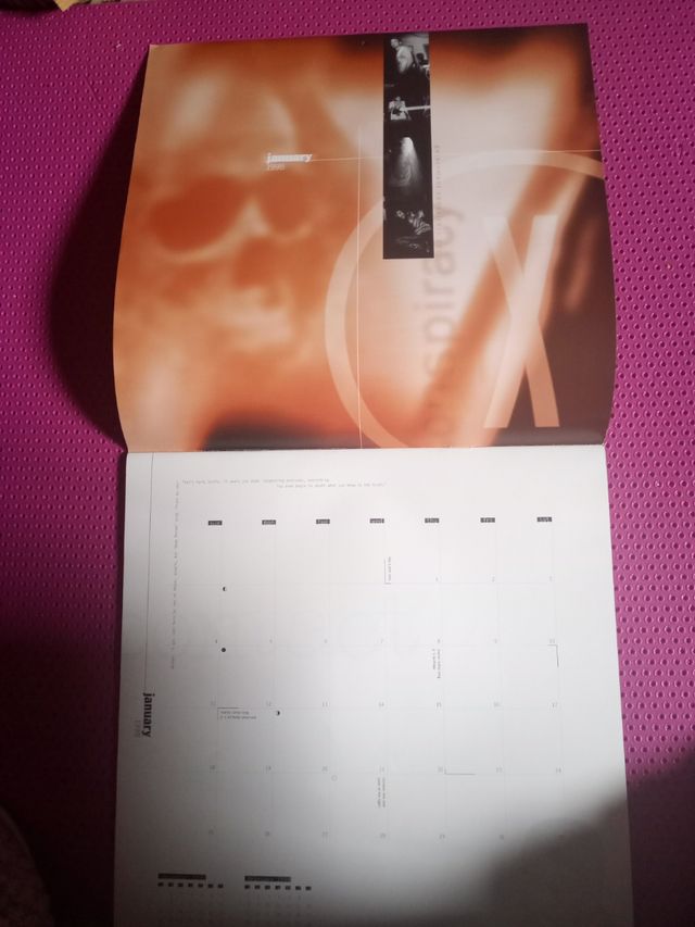 EXPEDIENTE X.  CALENDARIO