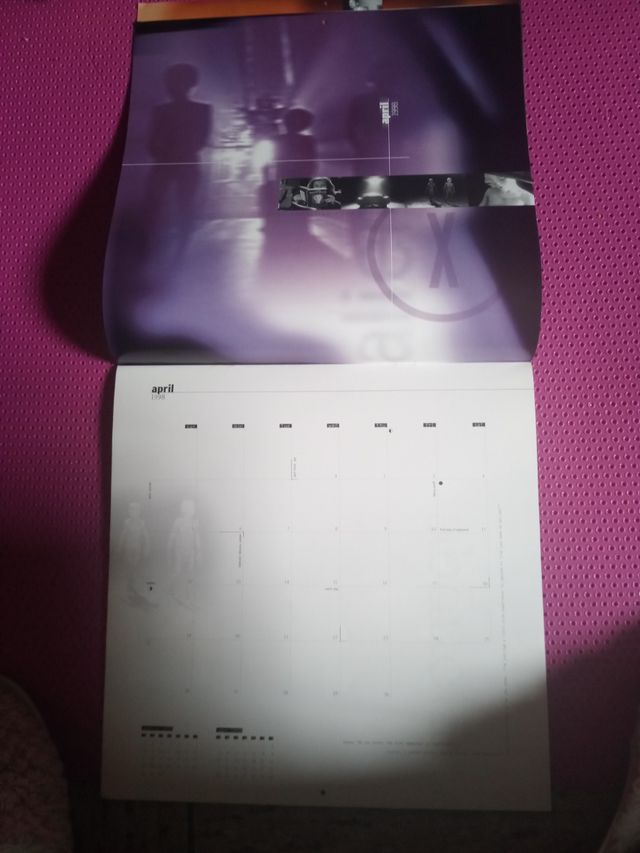EXPEDIENTE X.  CALENDARIO