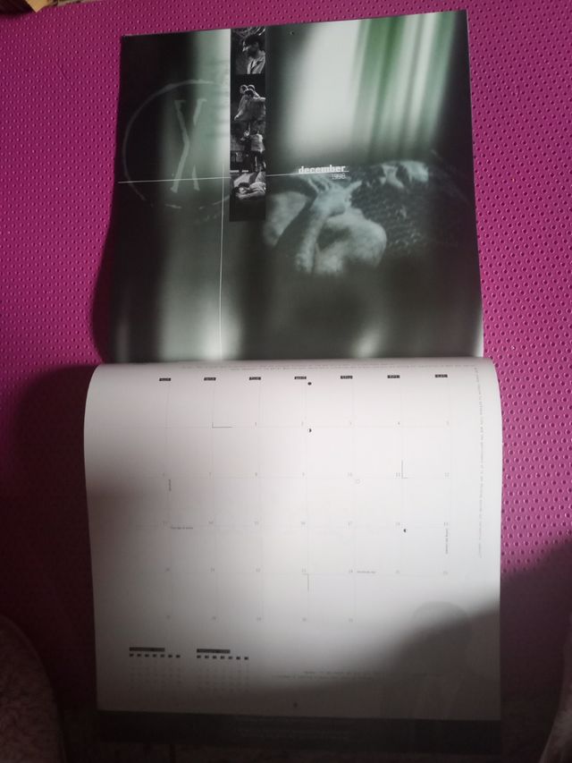 EXPEDIENTE X.  CALENDARIO