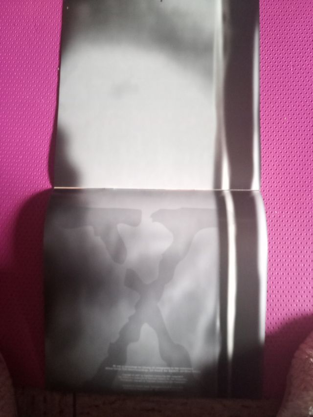 EXPEDIENTE X.  CALENDARIO