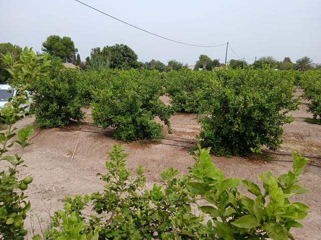 Terreno en venta. Explotación en rentabilidad