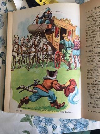 Libro da collezionismo bambini