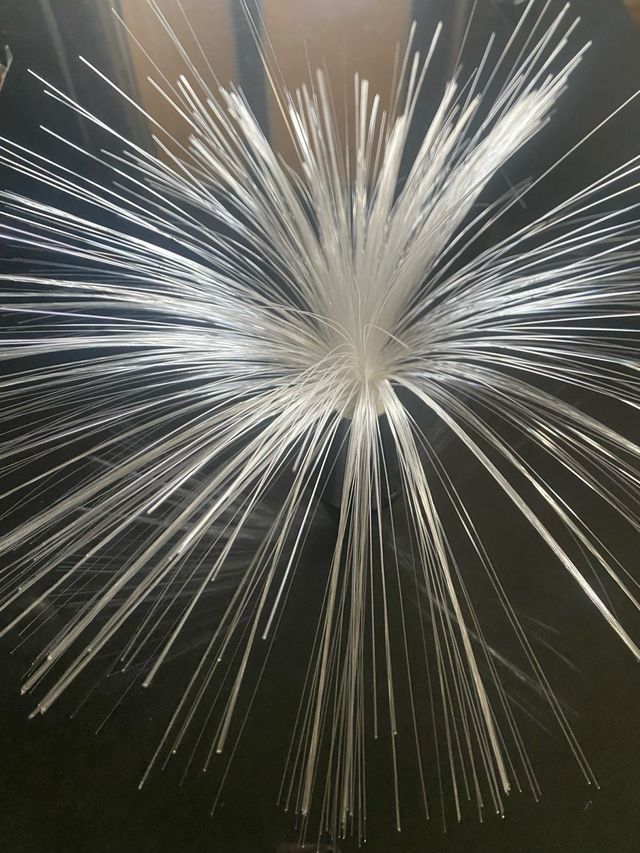 Lampada con fibre ottiche 