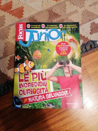 FOCUS JUNIOR