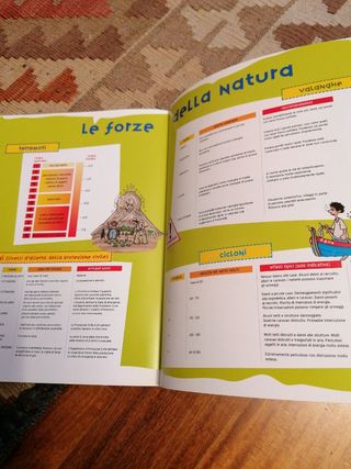 FOCUS JUNIOR