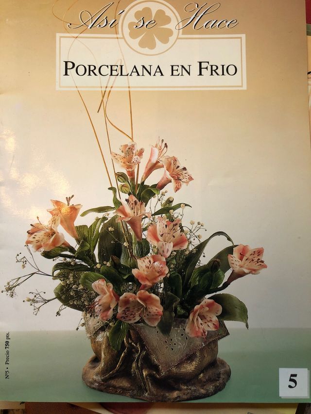 Revistas porcelans en frio