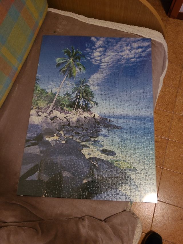 PUZZLE 1008 PEZZI