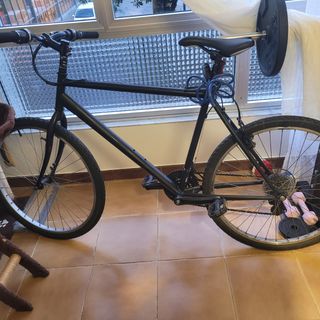 Bici fixie