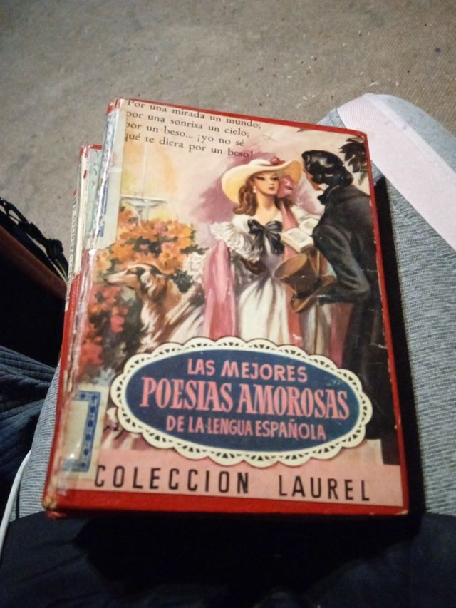 lote Mini libros poeticos