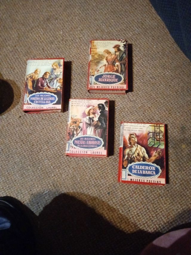 lote Mini libros poeticos