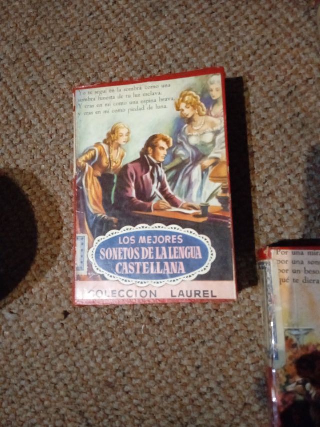 lote Mini libros poeticos