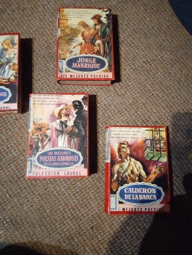 lote Mini libros poeticos