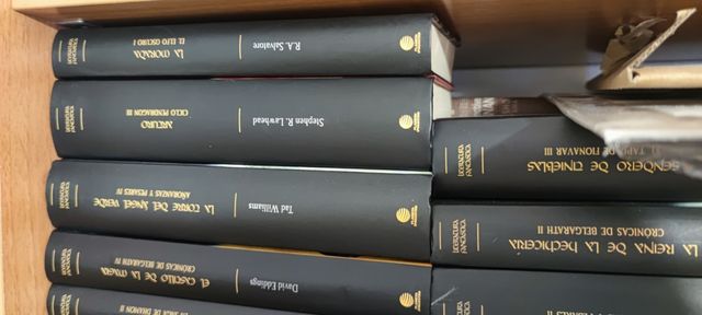 Libro de fantasía en español