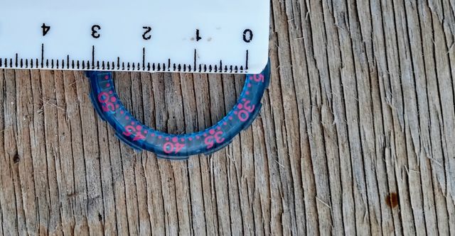 Ghiere per Swatch scuba nuovo