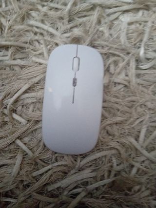 Raton inalambrico 