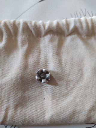 Charm Pandora