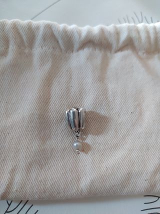Charm Pandora
