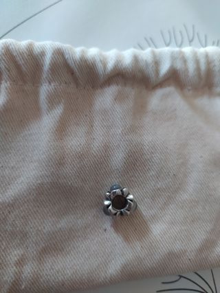 Charm Pandora