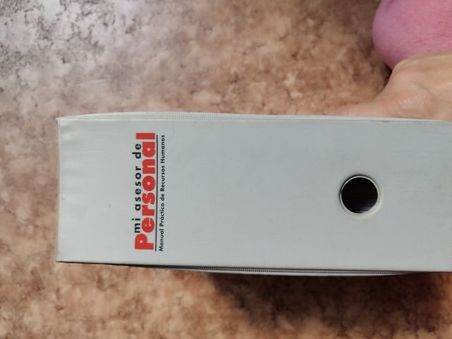 Libro asesor de recursos humanos