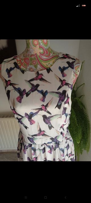 Vestido estilo Velvet colibrís