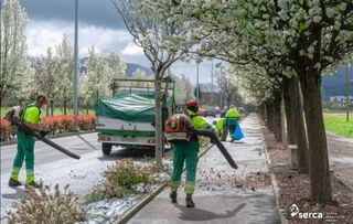 Jardinero economíco