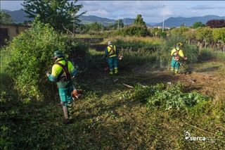 Jardinero economíco