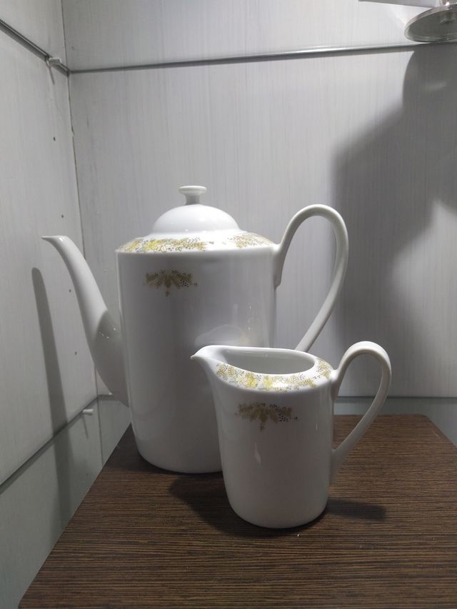 Set caffettiera e lattiera porcellana