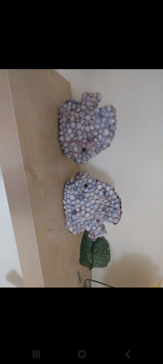 Pesciolini da esposizione