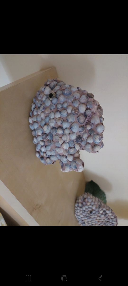 Pesciolini da esposizione