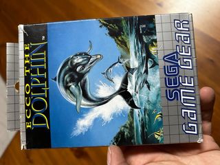 Ecco the dolphin