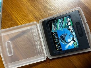 Ecco the dolphin