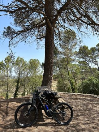 Specialized Turbo Levo Alloy 22 - talla S3