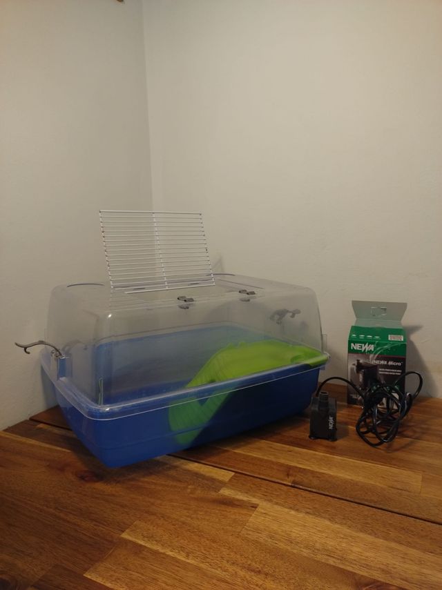 Acquaterrario con depuratore