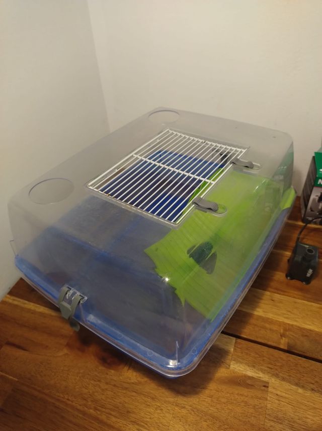 Acquaterrario con depuratore