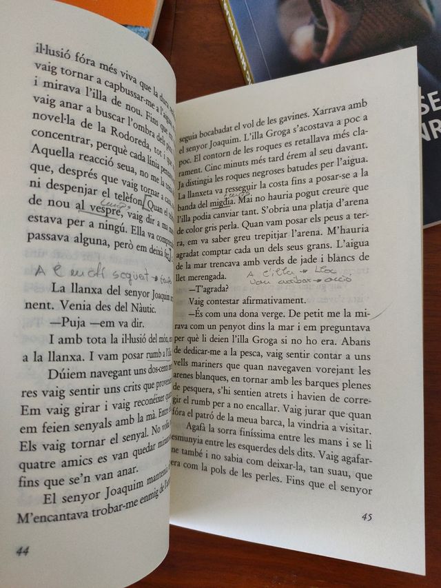 Lote libros valenciano