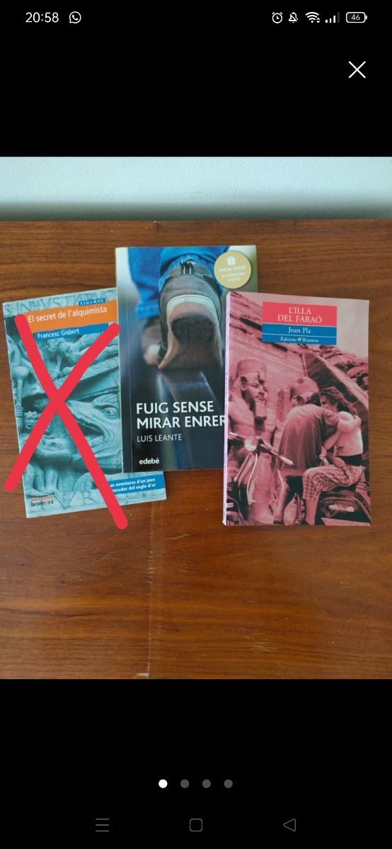 Lote libros valenciano