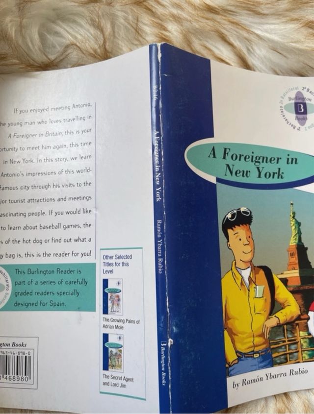 A Foreigner in New York