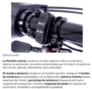 FANTIC RAMPAGE 1.2 FACTORY 2024