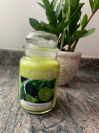 Candela Kandle’s Carribean Lime