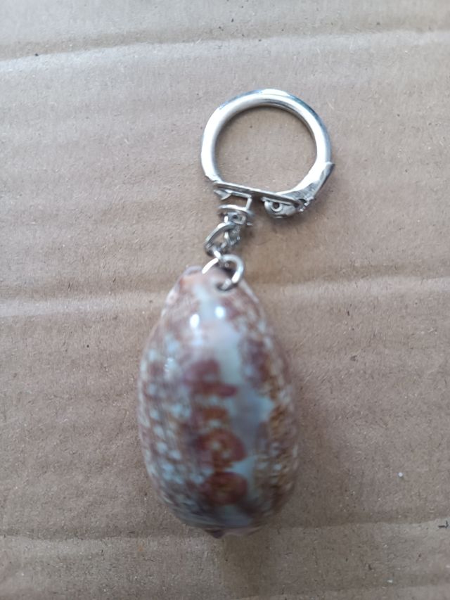 LLAVERO MARINO , GALICIA